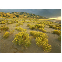 Sangre de Cristo Mountains at Great Sand Dunes National Monument, Colorado-Paper Art-50"x38"