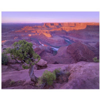 Colorado River flowing through canyons of Dead Horse Point State Park, Utah-Paper Art-22"x18"