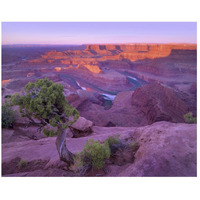 Colorado River flowing through canyons of Dead Horse Point State Park, Utah-Paper Art-26"x22"