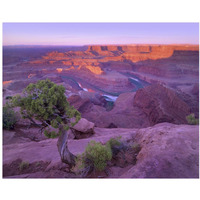 Colorado River flowing through canyons of Dead Horse Point State Park, Utah-Paper Art-37"x30"