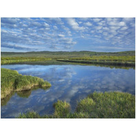 Clouds reflected in the Green River, Bridger-Teton National Forest, Wyoming-Paper Art-50"x38"