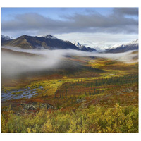 Fog over tundra, Tombstone Range, Tombstone Territorial Park, Yukon, Canada-Paper Art-18"x16.56"