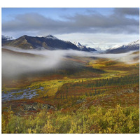 Fog over tundra, Tombstone Range, Tombstone Territorial Park, Yukon, Canada-Paper Art-24"x22.02"