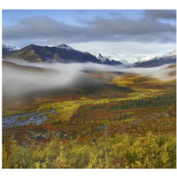 Fog over tundra, Tombstone Range, Tombstone Territorial Park, Yukon, Canada-Paper Art-38"x34.76"