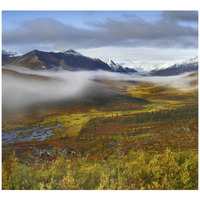 Fog over tundra, Tombstone Range, Tombstone Territorial Park, Yukon, Canada-Paper Art-42"x38.4"