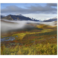 Fog over tundra, Tombstone Range, Tombstone Territorial Park, Yukon, Canada-Paper Art-46"x42.04"