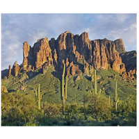 Saguaro cacti and Superstition Mountains, Lost Dutchman State Park, Arizona-Paper Art-18"x15.28"