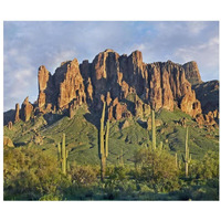 Saguaro cacti and Superstition Mountains, Lost Dutchman State Park, Arizona-Paper Art-32"x26.9"