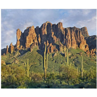 Saguaro cacti and Superstition Mountains, Lost Dutchman State Park, Arizona-Paper Art-38"x31.88"