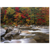 Wild river in eastern hardwood forest, White Mountains National Forest, Maine-Paper Art-26"x20"