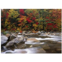 Wild river in eastern hardwood forest, White Mountains National Forest, Maine-Paper Art-34"x26"