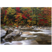 Wild river in eastern hardwood forest, White Mountains National Forest, Maine-Paper Art-42"x32"