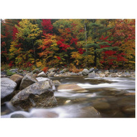 Wild river in eastern hardwood forest, White Mountains National Forest, Maine-Paper Art-50"x38"