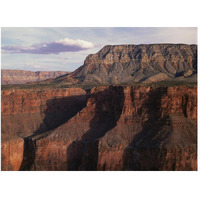 Grand Canyon seen from Toroweep Overlook, Grand Canyon National Park, Arizona-Paper Art-50"x38"