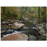 Cedar Creek flowing through deciduous forest, Petit Jean State Park, Arkansas-Paper Art-18"x14"