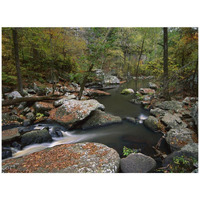 Cedar Creek flowing through deciduous forest, Petit Jean State Park, Arkansas-Paper Art-42"x32"