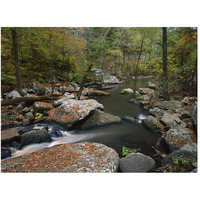 Cedar Creek flowing through deciduous forest, Petit Jean State Park, Arkansas-Paper Art-50"x38"