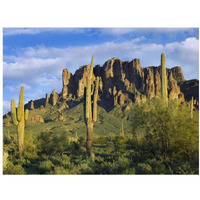 Saguaro cacti and Superstition Mountains at Lost Dutchman State Park, Arizona-Paper Art-18"x14"