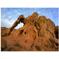 Elephant Rock, a unique sandstone formation, Valley of Fire State Park, Nevada-Paper Art-18"x14"