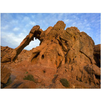 Elephant Rock, a unique sandstone formation, Valley of Fire State Park, Nevada-Paper Art-50"x38"