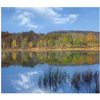 Deciduous forest along Lackawanna Lake, Ricketts Glen State Park, Pennsylvania-Paper Art-24&quotx21.36"