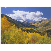 Haystack Mountain with aspen forest, Maroon Bells-Snowmass Wilderness, Colorado-Paper Art-18&quotx14"