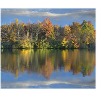 Deciduous forest in autumn along Price Lake, Blue Ridge Parkway, North Carolina-Paper Art-18&quotx15.6"