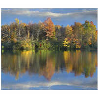 Deciduous forest in autumn along Price Lake, Blue Ridge Parkway, North Carolina-Paper Art-38"x32.6"