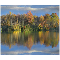 Deciduous forest in autumn along Price Lake, Blue Ridge Parkway, North Carolina-Paper Art-42&quotx36"