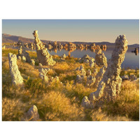 Wind and rain eroded tufa towers amid Squirreltail Barley Mono Lake, California-Paper Art-18"x14"