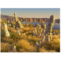 Wind and rain eroded tufa towers amid Squirreltail Barley Mono Lake, California-Paper Art-26"x20"