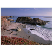 Beach near San Simeon Creek with ice plant in the foreground, Big Sur, California-Paper Art-18"x14"