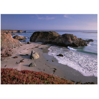 Beach near San Simeon Creek with ice plant in the foreground, Big Sur, California-Paper Art-26"x20"