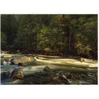 Merced River flowing through the valley floor, Yosemite National Park, California-Paper Art-50"x38"