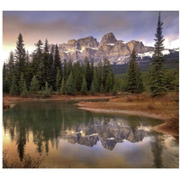 Castle Mountain and boreal forest reflected in lake, Banff National Park, Alberta-Paper Art-18&quotx14"