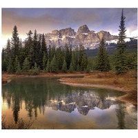 Castle Mountain and boreal forest reflected in lake, Banff National Park, Alberta-Paper Art-38"x34.04"