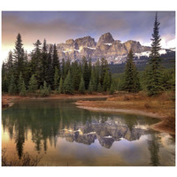 Castle Mountain and boreal forest reflected in lake, Banff National Park, Alberta-Paper Art-42"x37.6"