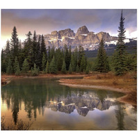 Castle Mountain and boreal forest reflected in lake, Banff National Park, Alberta-Paper Art-46"x41.16"