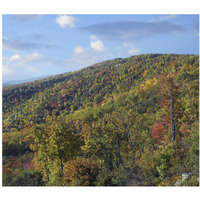 Blue Ridge Range from Moormans River Overlook, Shenandoah National Park, Virginia-Paper Art-24"x21.14"