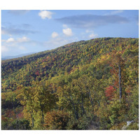 Blue Ridge Range from Moormans River Overlook, Shenandoah National Park, Virginia-Paper Art-42"x36.8"