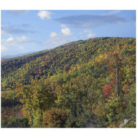 Blue Ridge Range from Moormans River Overlook, Shenandoah National Park, Virginia-Paper Art-46&quotx40.28"