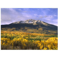 East Beckwith Mountain and trees in fall color, Gunnison National Forest, Colorado-Paper Art-18"x14"