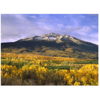 East Beckwith Mountain and trees in fall color, Gunnison National Forest, Colorado-Paper Art-42"x32"