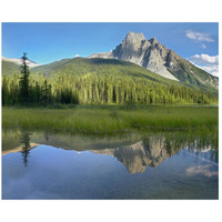 Mt Burgess reflected in Emerald Lake, Yoho National Park, British Columbia, Canada-Paper Art-26"x22"