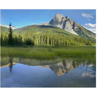 Mt Burgess reflected in Emerald Lake, Yoho National Park, British Columbia, Canada-Paper Art-30"x24"