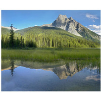 Mt Burgess reflected in Emerald Lake, Yoho National Park, British Columbia, Canada-Paper Art-37"x30"