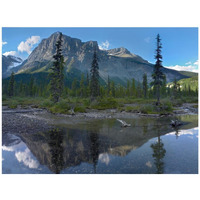 Michael Peak reflection, Emerald Lake, Yoho National Park, British Columbia, Canada-Paper Art-42"x32"