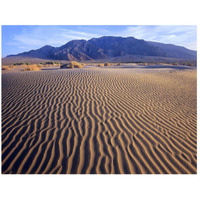 Tucki Mountain and Mesquite Flat Sand Dunes, Death Valley National Park, California-Paper Art-26&quotx20"