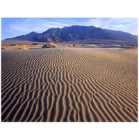 Tucki Mountain and Mesquite Flat Sand Dunes, Death Valley National Park, California-Paper Art-42"x32"