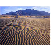 Tucki Mountain and Mesquite Flat Sand Dunes, Death Valley National Park, California-Paper Art-50"x38"